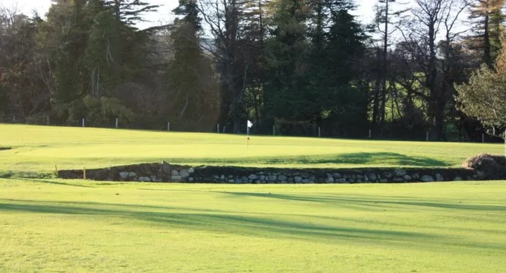 Course view at Ballinascorney Golf Club