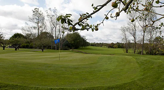 Course view at Beaverstown Golf Club
