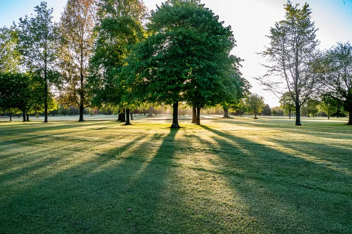 Course view at Beech Park Golf Club