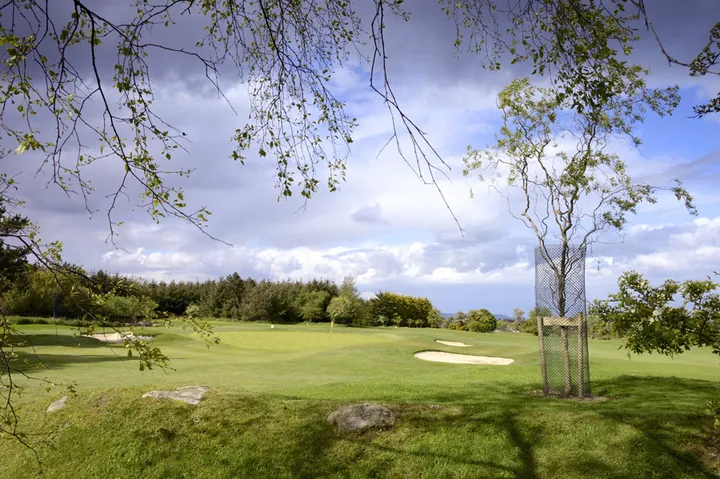 Course view at Carrickmines Golf Club