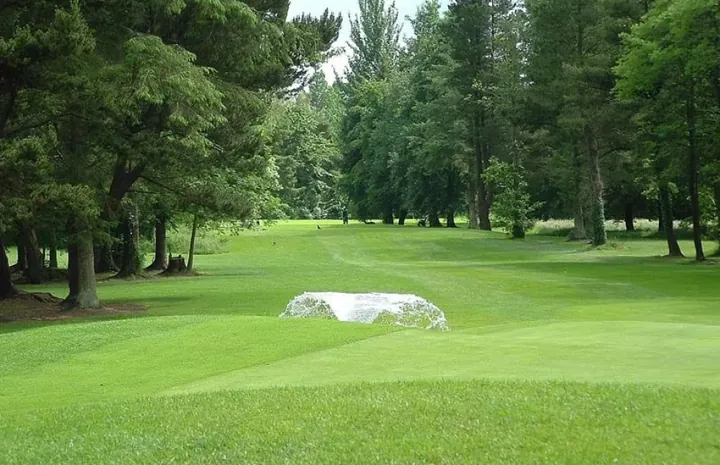 Course view at Charleville Golf Club