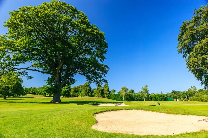 Course view at Delgany Golf Club