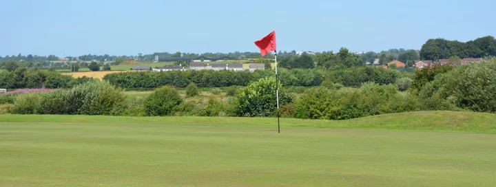 Course view at Down Royal Golf Club