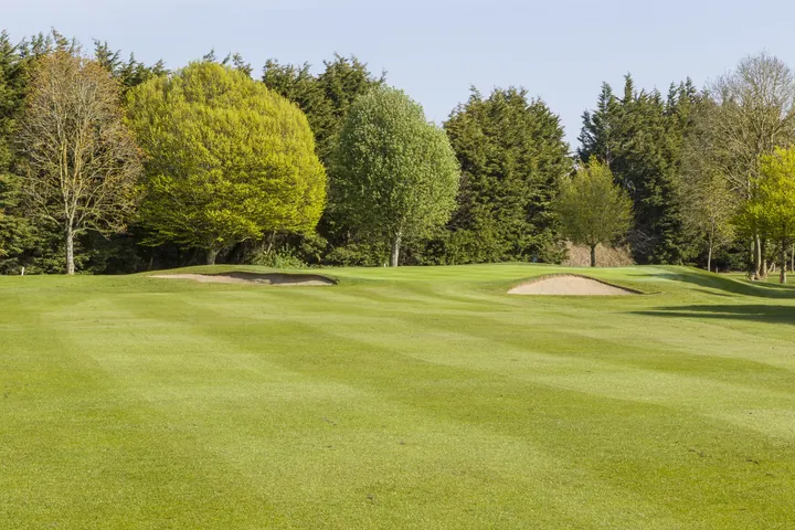 Course view at Forrest Little Golf Club