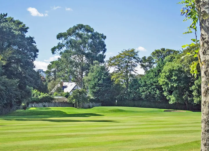 Course view at Foxrock Golf Club
