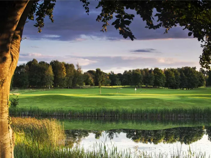 Course view at Grange Castle Golf Club
