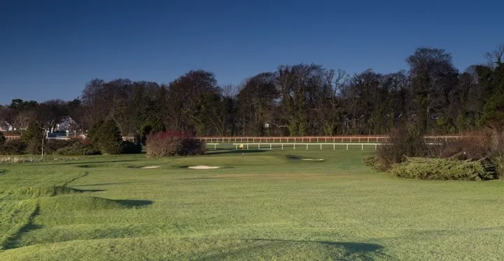 Course view at Leopardstown Golf Club