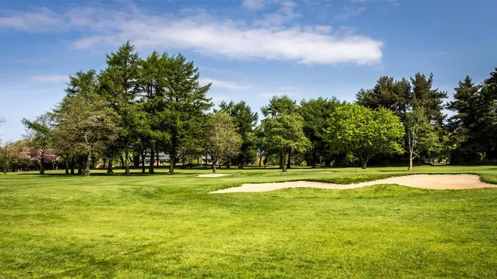 Course view at Shandon Park Golf Club