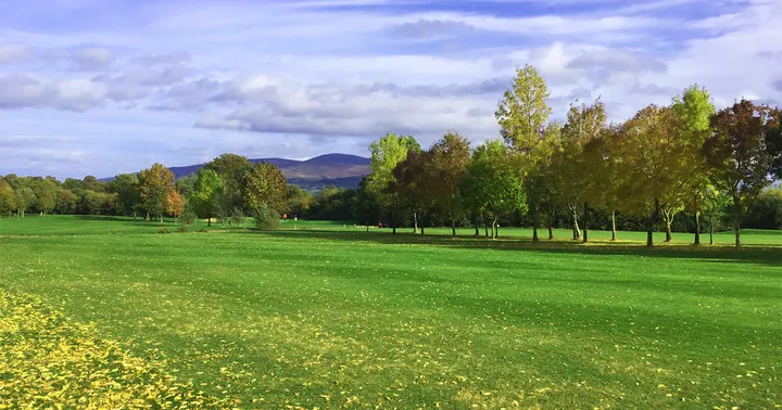 Course view at Slievenamon Golf Club
