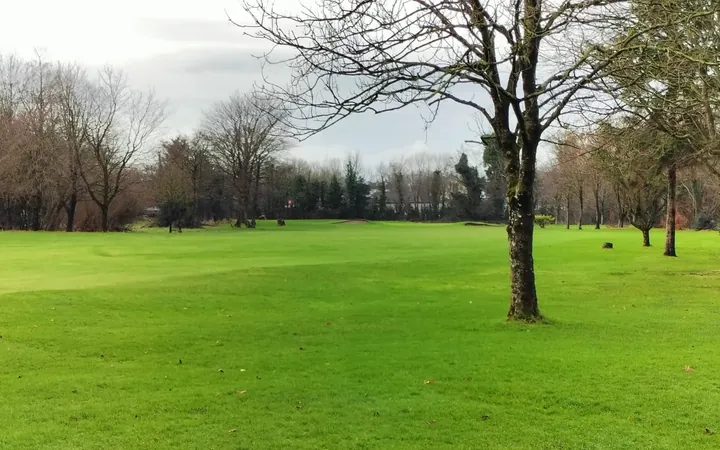 Course view at Strabane Golf Club